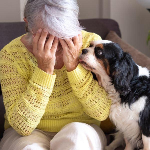 Anticipatory Grief Support Pets
